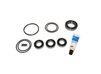 Nexen 911317 5H 20P-E Repair Kit