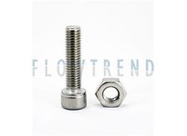 Flowtrend 104627 9611417370 M10 Screw and Nut Kit