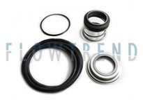 Flowtrend 105295 9611922089 LKH 30 40 50 60 PSvc Kit C/SC/N | YarinInd