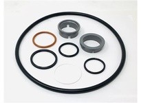 Flowtrend 105349 9611922143 LKHP 10 15 Pump Svc Kt+ SC/SC/N