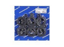 Grundfos 96428940 Kit BM N SP8A 12-18stg FKM | YarinInd