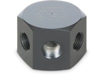 Enerpac A-66 202690 Spider Manifold w/ Six Ports | YarinInd