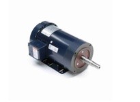 Leeson A019341.00 3HP 3600RPM.145T.TEFC.230V.1PH.60HZ.CONT.40C RIGID