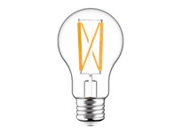 RAB A19-10-E26-930-F-C Decorative 1100 Lumens A19 10W | High-Quality Lighting