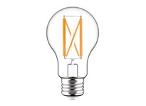 RAB A19-13-E26-927-F-C Decorative 1600 Lumens A19 13W Base E26 | High-Quality Lighting