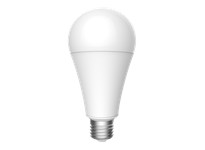 RAB A21-23-E26-850-DIM 120V A-Line Bulbs | 2550 Lumens | Dimmable