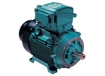 Brook Crompton AC2M040-ED 40HP 3000RPM 380-415V Cast Iron IEC EF200L D Flange | YarinInd