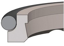 Dichtomatik AD60-42X48.8X5 WIPER 40 PERCENT BRONZE FILLED PTFE/NBR 70 O-RING ENERGIZED DOUBLE WIPER