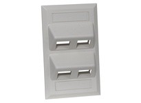 Hubbell Wiring AFP14G PLATE ANG1-G4PGY | YarinInd