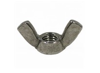 M3-0.50 Wing Nut, Coarse, Stainless A2 (304 18-8) | YarinInd