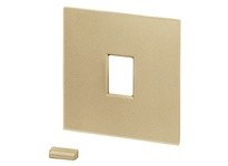 Hubbell Wiring AS2I SLIDE DIMMER PLATE KIT IV | YarinInd
