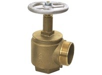 Dixon AV250NYFD-I Global Cast Brass Angle Valve Female Inlet | Industrial Supplies