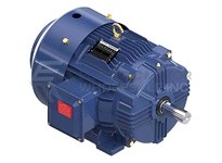 B194230.00 30HP 1800RPM 286T TEFC 230/460V 3PH 60HZ CONTINUOUS 40C 1.15SF RIGID ROLLER BRGS