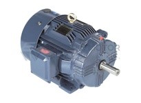 B194236.00 60HP 1800RPM 364T TEFC 230/460V 3PH 60HZ CONTINUOUS 40C 1.15SF RIGID ROLLER BRGS