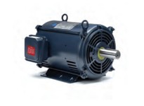 B199755.00 60HP 1800RPM 364TC ODP 230/460V 3PH 60HZ | Industrial Motor