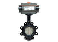 DIXON B5121E1200LLBCC 12" Lug BFVCI Bdy EPDM RPALDA | YarinInd