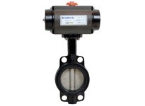 DIXON B5121E500W-BBC 5" WFR BFV DI Body NI Disc EPDM RP AL SR NC