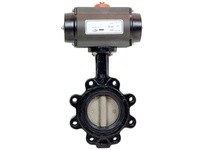 DIXON B5121E600L-BCC 6" LUG BFV DI Body NI Disc EPDM RP AL DA | Industrial Supplies