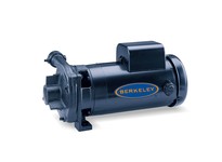 Berkeley B53603S C-series - C1-1/4TPMS Small Centrifugal