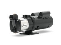 Berkeley B86773 7" (nominal) Submersible Pump End