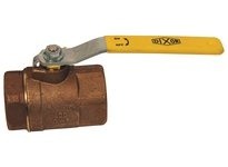 Dixon BBV50ST 250 Lb. Steam Ball Valve | YarinInd
