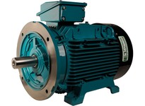 Brook Crompton BC4M100V4S 100HP 1800RPM 230/460V Cast Iron Motor | YarinInd
