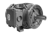 Brook Crompton BC6N020V4C 20 HP 1200 RPM 230/460 Volts TEFC 286TC C Face-Footed With Removable Feet-Premium