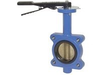 Dixon BFVL200E Threaded Lug Style Butterfly Valve