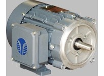 Techtop BL3-AL-TF-56C-2-B-D-1 1HP 3600RPM Three Phase | YarinInd