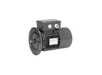 US Motors (Nidec) BR13S2ACR3 1/3 hp 1800 RPM 56C (No Base) 208-230/460V TEFC 3-Phase BrakeMotor