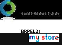 Remke BRPEL21 Dome Cap Standard EMC Cable Gland nickel plated brass PG21 cable range .51 - .71 long