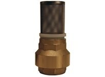 Dixon BVFS20 Strainer with Spring-Loaded Check Valve