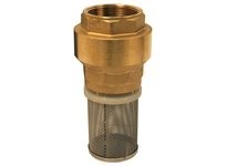 Dixon BVFS40 Strainer with Spring-Loaded Check Valve | YarinInd