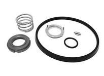 Flowtrend 110226 C216-5SFY-SC FPM w/ Rot SiC