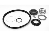 Flowtrend 110337 C218/328DG-5 C218/328DG Pump Svc Kit | YarinInd