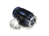 Leeson C302B 145TTGN16504 2HP 3500RPM 145TC Frame Explosion Proof Motor | YarinInd