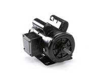 Century C598 1.5-.44 HP 1725RPM 56H TEAO Motor | High-Performance Motors