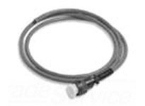 BALDOR CBL091ZD-2 CABLE & PLUG ASSY