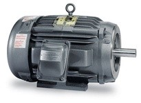 Baldor CCPX18546T 5HP 1750//1450RPM 3PH 60HZ 184TC XPFC F1