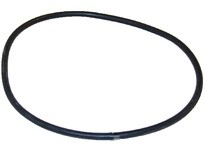 Bell & Gossett CP-751-531-270 STUFF BOX O-RING
