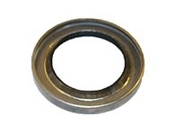 Bell & Gossett CP-753-383-021 LIP SEAL | YarinInd