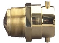 Dixon CSSTM30F30T-P Spring Check Type Snoot Male Outlet