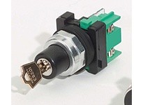 WEG CSW30-CY2F90 30MM AL 2F POS KEY SW WE Pushbuttons | YarinInd