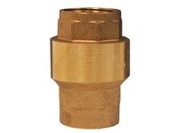 Dixon CV200 Spring-Loaded Check Valve | Reliable Industrial Solutions