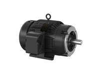 Baldor CXT3104T-5 10HP, 1760RPM, 3PH, 60HZ, 215TC, 0750M, TEFC, F