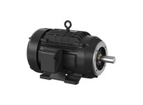 Baldor CXT3202T-5 20HP, 3520RPM, 3PH, 60HZ, 256TC, TEFC, F1