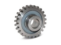 Boston 30217502 13298 D1414A RH C. I. WORM GEAR | High-Quality Industrial Supplies