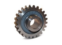 Boston 30217542 13382 D1621A C. I. WORM GEAR