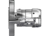 Dixon DDEC100SSFL Dry Evotek Coupler x 150# Flange