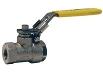 Dixon DSBV25 2-Piece Domestic Stainless Steel Ball Valve | Durable & Reliable